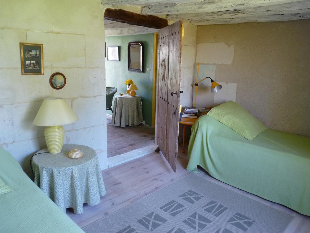 Le Clos De Ligré Cameră foto